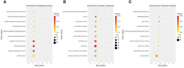 Figure 5