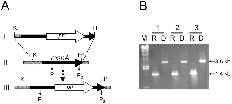 Figure S1