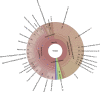 FIG 4