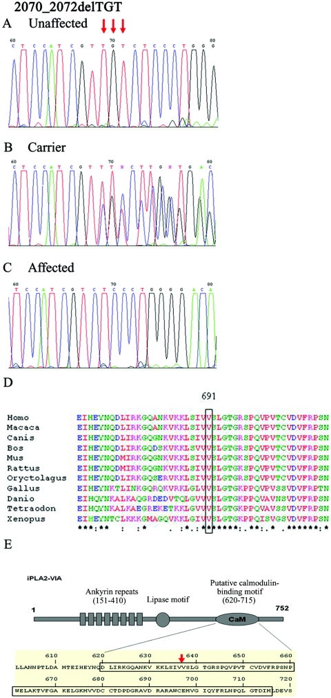 Figure  4. 