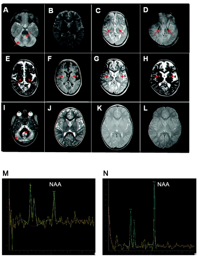 Figure  2. 