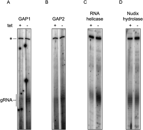 FIGURE 4.