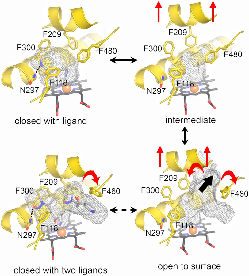 FIGURE 5.