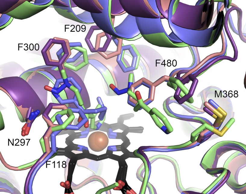 FIGURE 4.