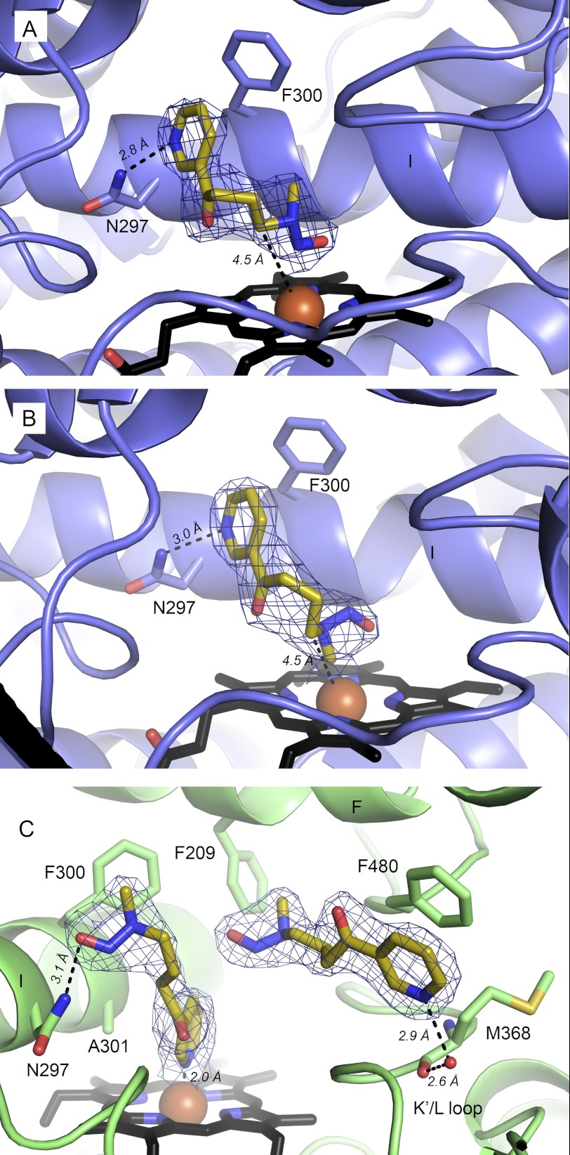 FIGURE 2.