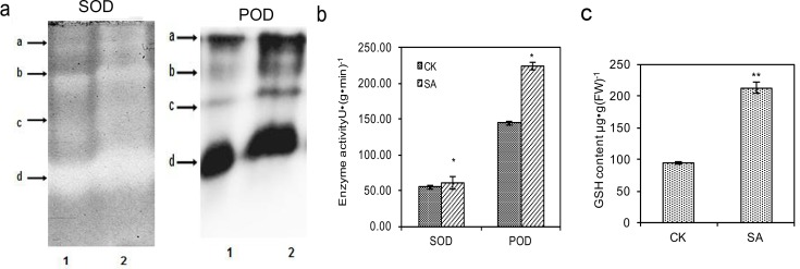 Fig 5