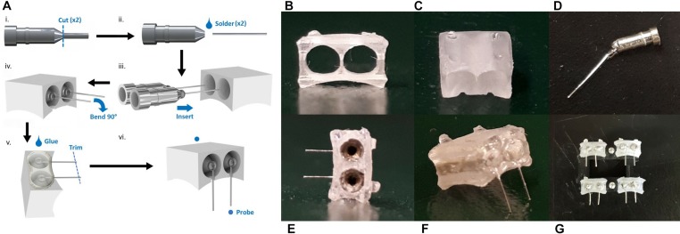 FIGURE 2