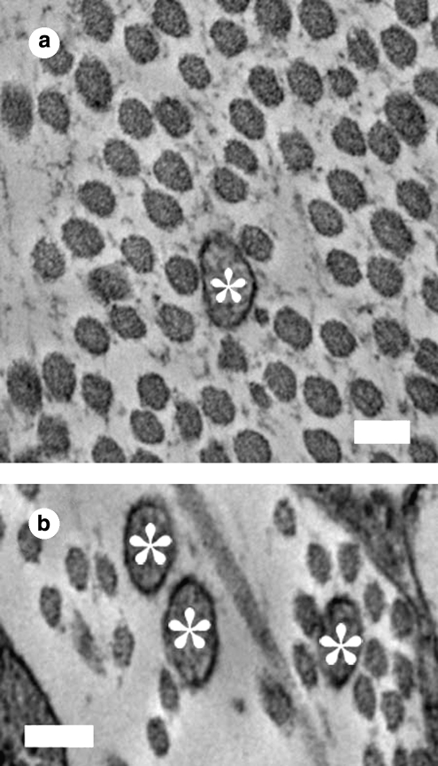 FIG. 10.