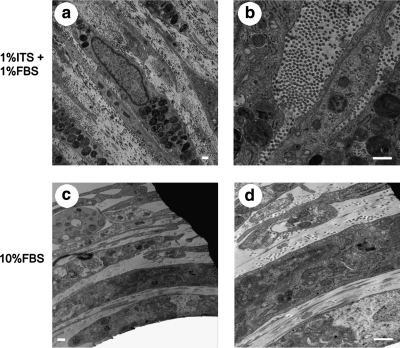 FIG. 8.