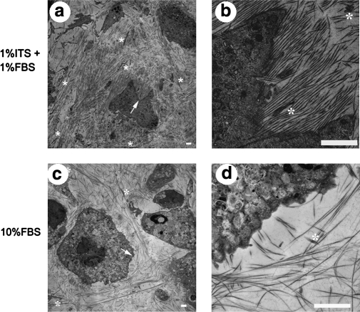 FIG. 7.