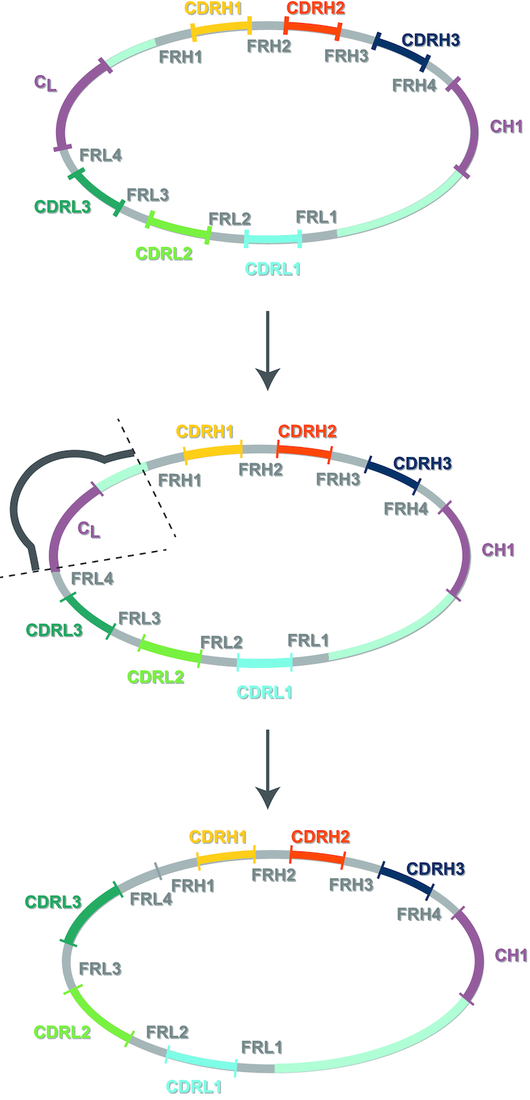 Figure 7.