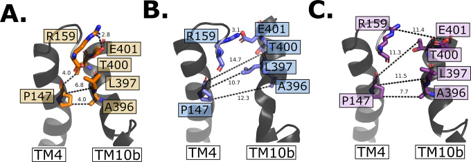 Figure 6—figure supplement 1.