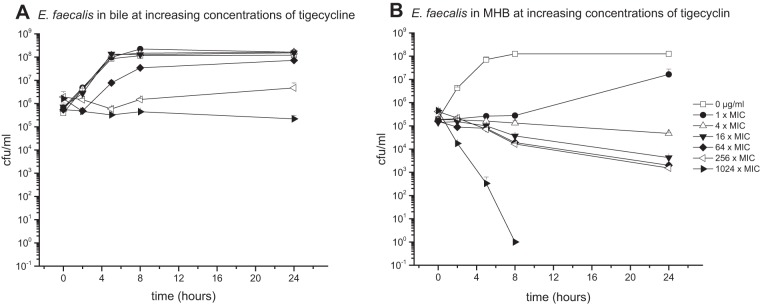 FIG 3