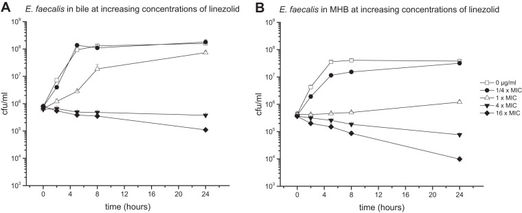 FIG 2