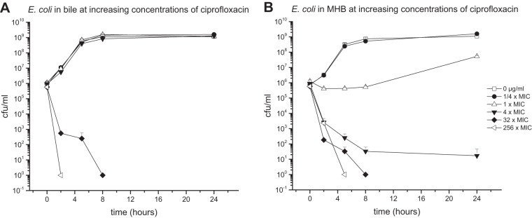 FIG 4