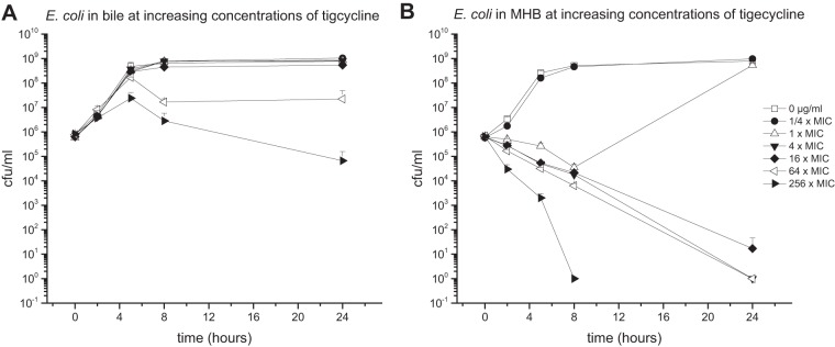 FIG 6