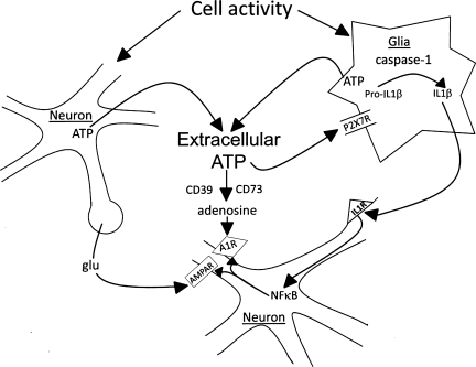 Fig. 8.