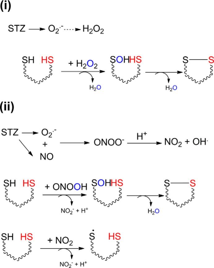 SCHEME 1.