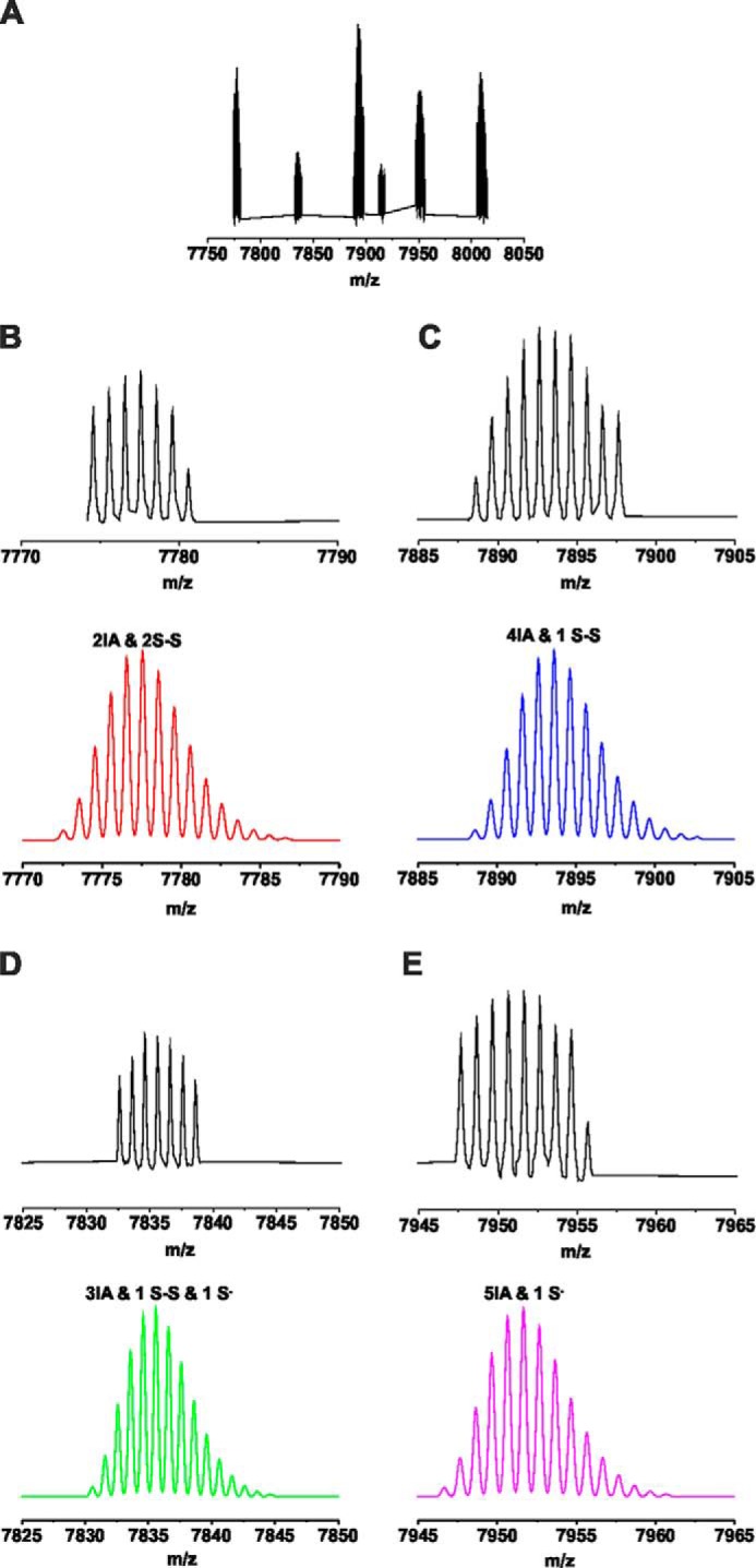 FIGURE 5.