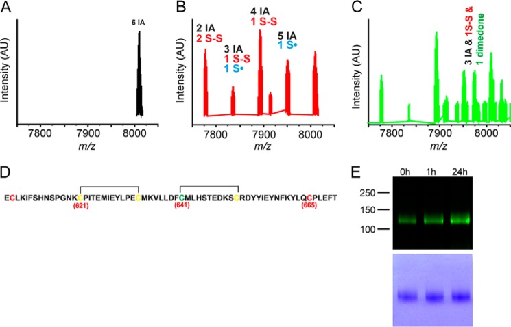 FIGURE 4.