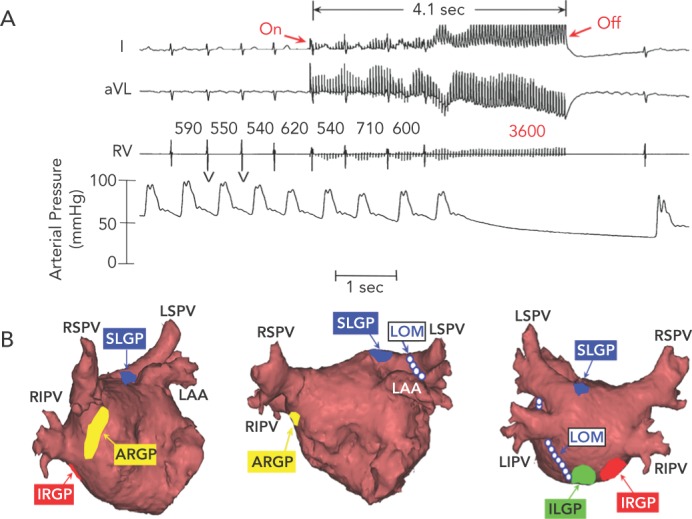 Figure 1: