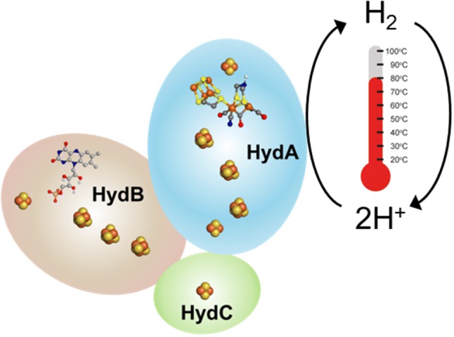 graphic file with name 775_2019_1747_Figa_HTML.jpg