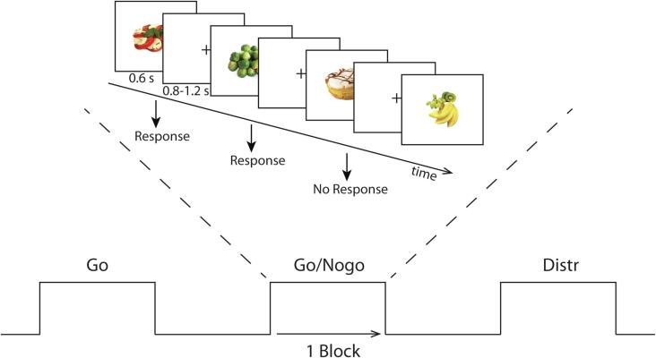 Fig. 2