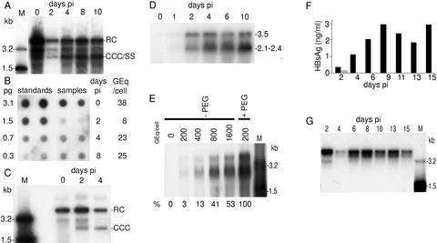 Fig 3.