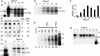 Fig 3.