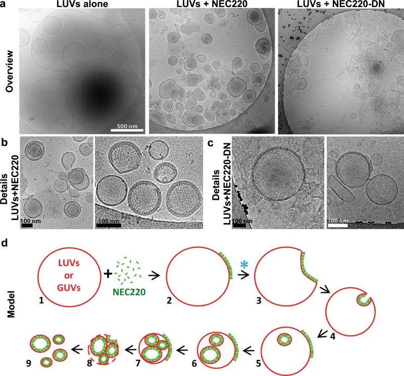 Fig. 4