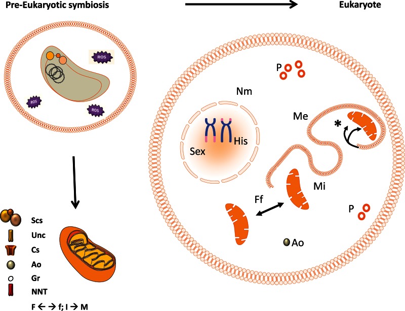 Figure 4.