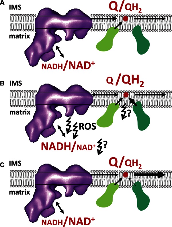 Figure 1.