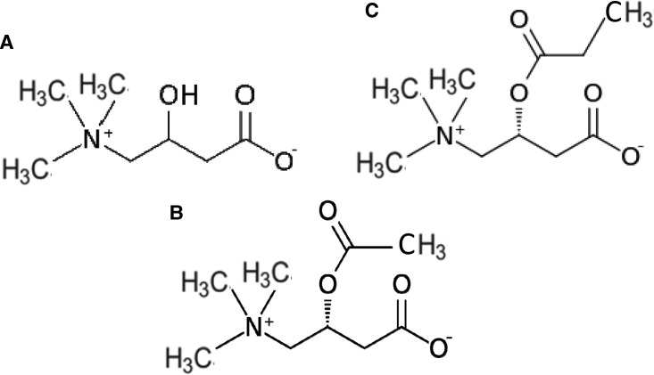 Figure 3.