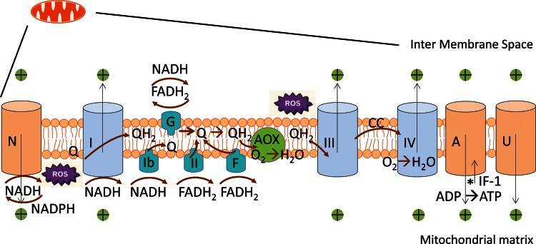 Figure 2.