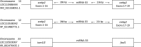 Fig. 10.