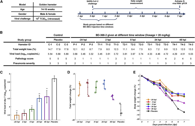 Figure 2