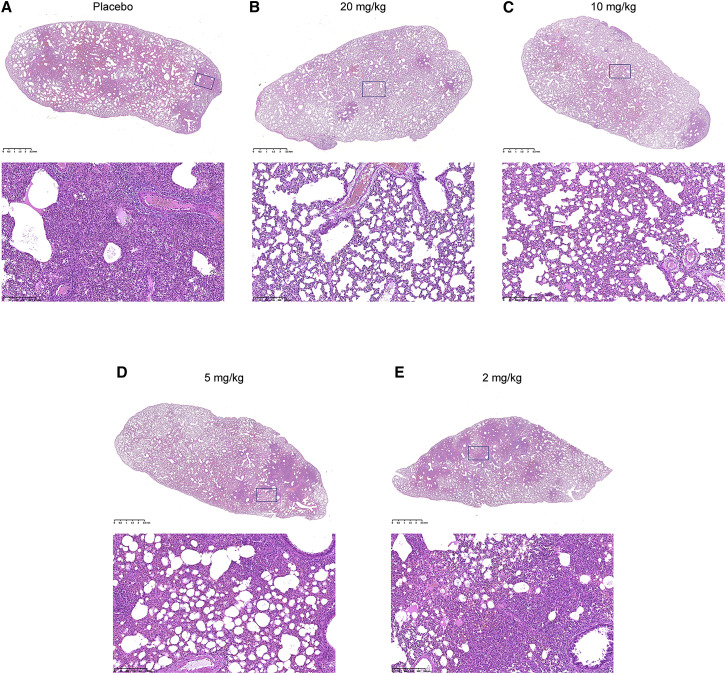 Figure 5