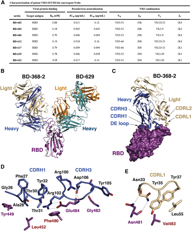 Figure 6