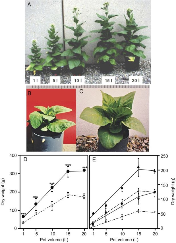 Figure 1.