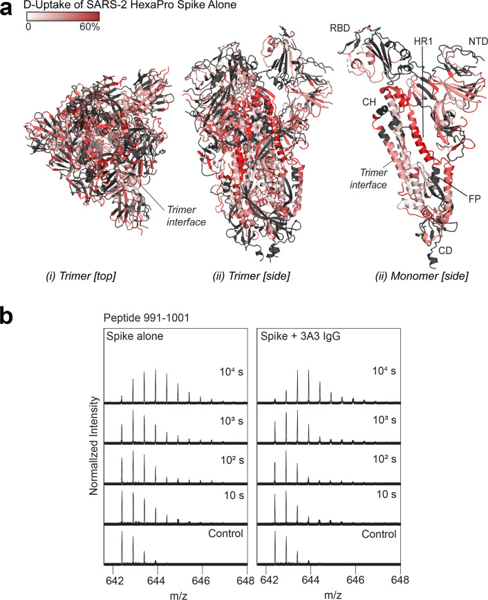 Figure 1—figure supplement 4.