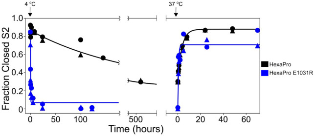 Figure 2—figure supplement 1.