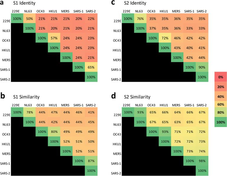 Figure 1—figure supplement 1.