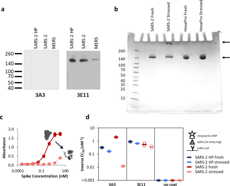 Figure 3—figure supplement 2.