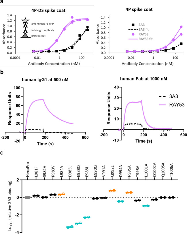 Figure 4—figure supplement 3.