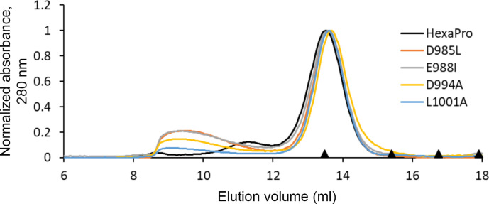 Figure 3—figure supplement 1.