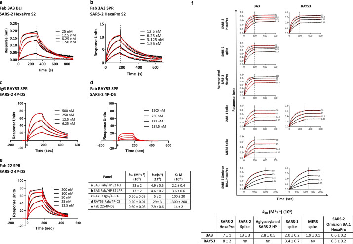 Figure 4—figure supplement 4.