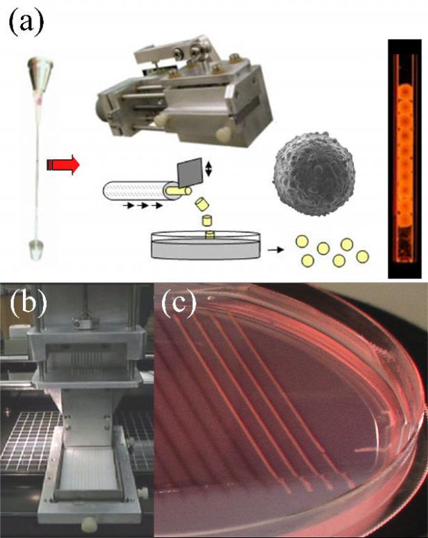 Figure 11