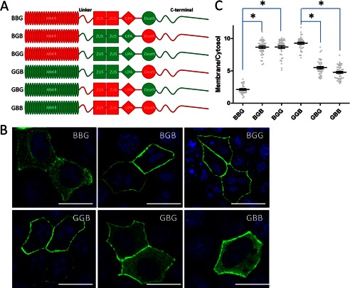 FIGURE 2.