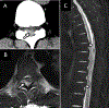 FIGURE 12: