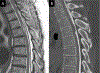 Figure 15: